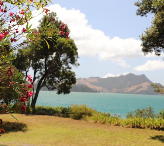 Flaxhaven Lodge B&B Accommodation Cooks Beach Whitianga