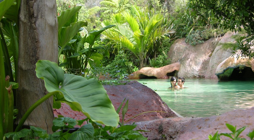 The Lost Spring Whitianga